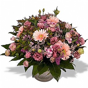 בוקה ורוד בוקה ורוד