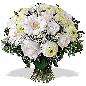 אהבה לבנה אהבה לבנה