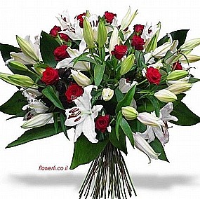 אדום לבן ורדים וליליות אדום לבן ורדים וליליות