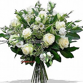 לבן טהור לבן טהור