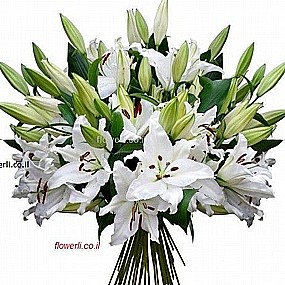 זר ליליות לבנות זר ליליות לבנות