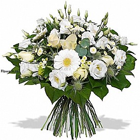 שמיים לבנים שמיים לבנים