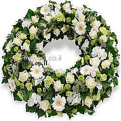 גלגל אבל לבן גלגל אבל לבן