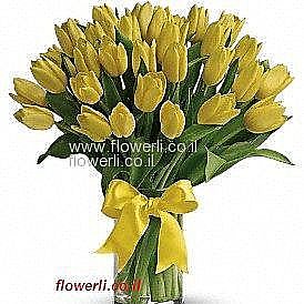 זר טוליפים צהובים זר טוליפים צהובים