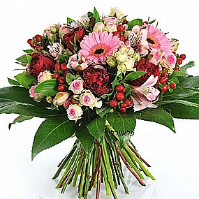 בהמון אהבה בהמון אהבה