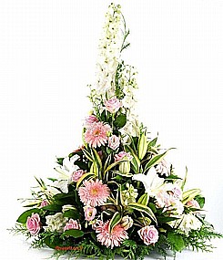 סידור ורוד לבן גבוה סידור ורוד לבן גבוה