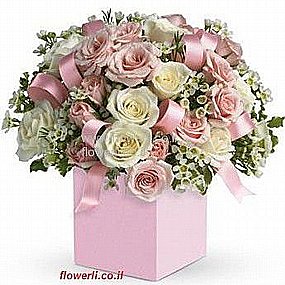 סידור להולדת הבת סידור להולדת הבת