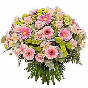 ורוד ירוק ורוד ירוק