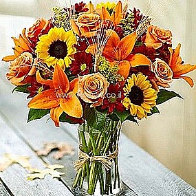 כתום ירוק כתום ירוק