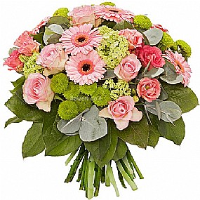 ורוד ירוק לבן ורוד ירוק לבן