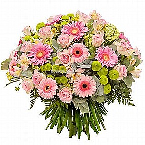 משלוח פרחים אסותא רמת החייל משלוח פרחים אסותא רמת החייל