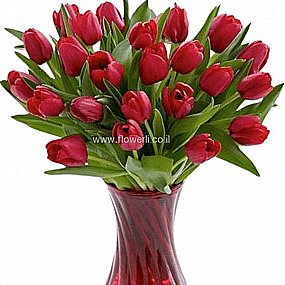 זר טוליפים אדומים זר טוליפים אדומים