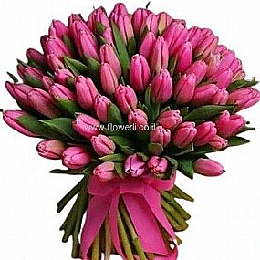 טוליפים רעננה טוליפים רעננה