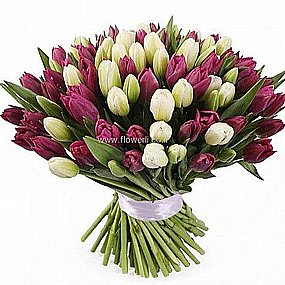 טוליפים הוד השרון טוליפים הוד השרון