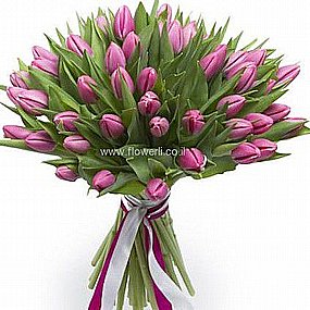 טוליפים ציבעונים בית חולים מאיר כפר סבא טוליפים ציבעונים בית חולים מאיר כפר סבא