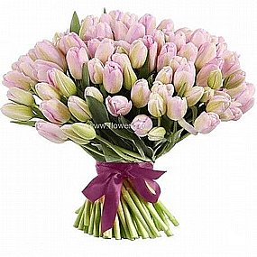 טוליפים ורוד פסטל טוליפים ורוד פסטל